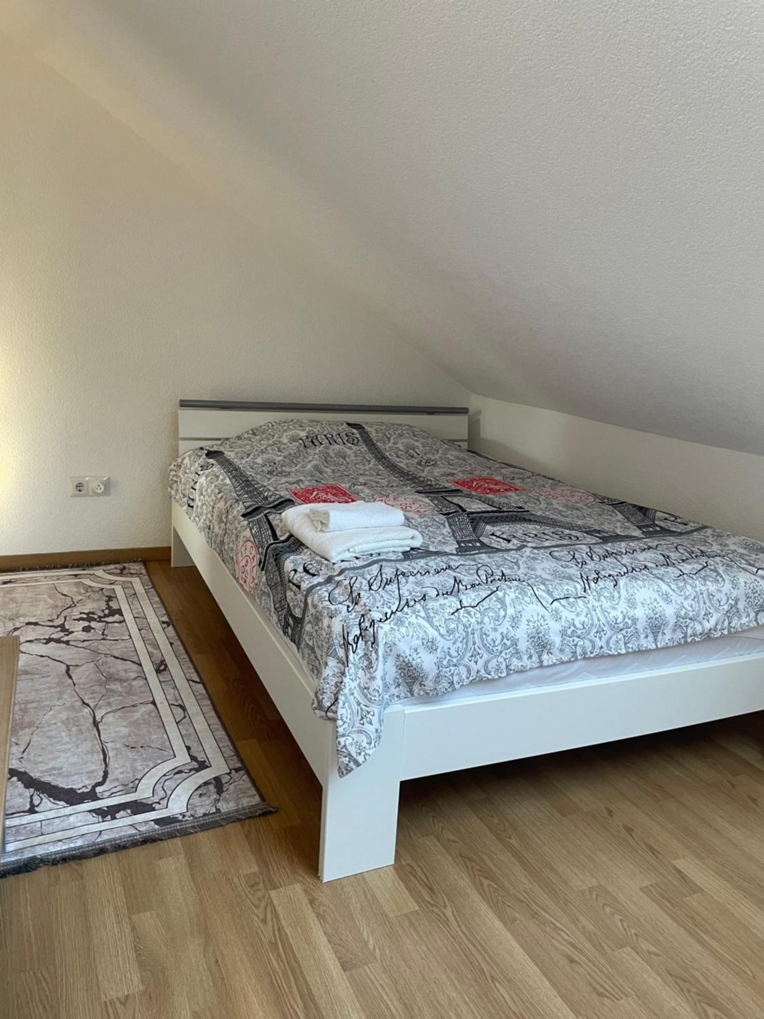 Stilvolle Wohnung Im Stadtzentrum Kaiserslautern Exterior foto